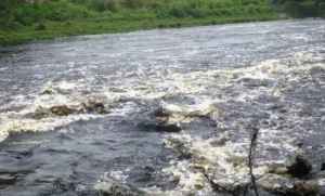 yourstory-kali-river-3